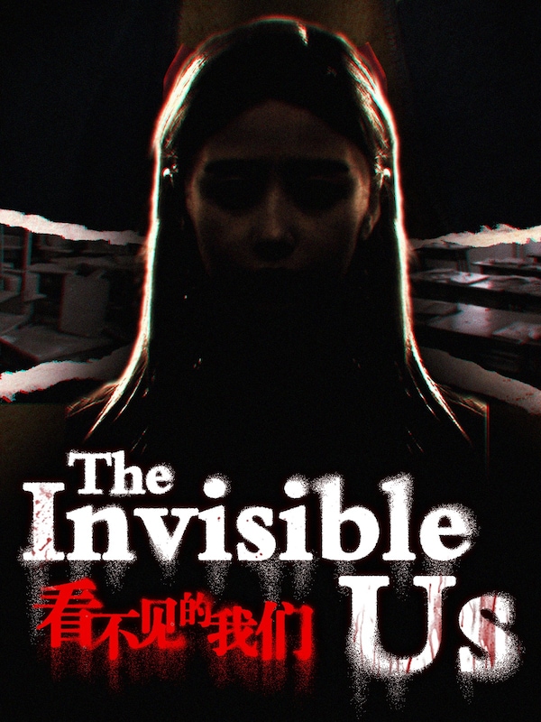 Buy The invisible us