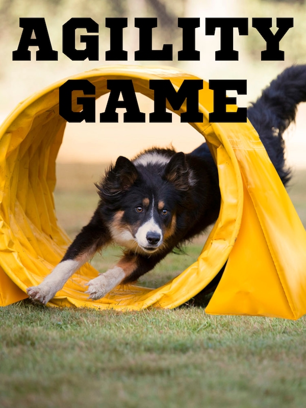 Buy Agility Game