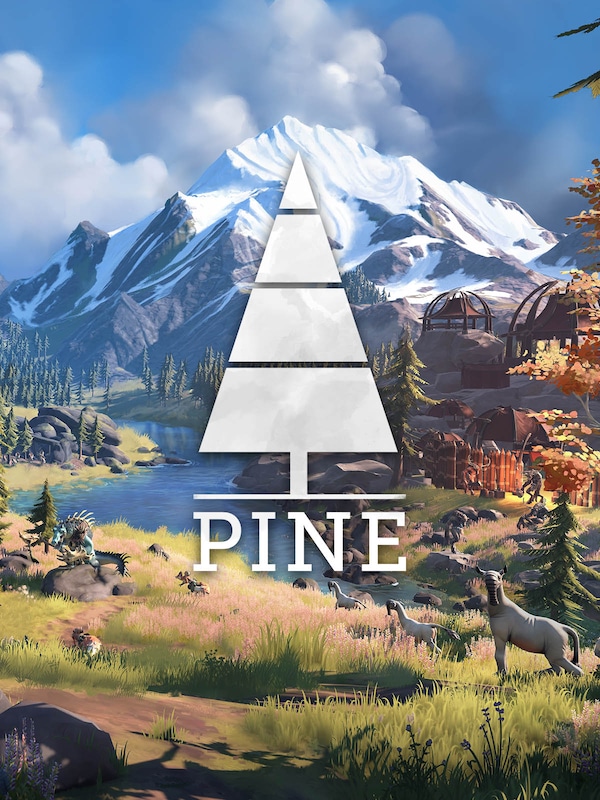 Buy Pine