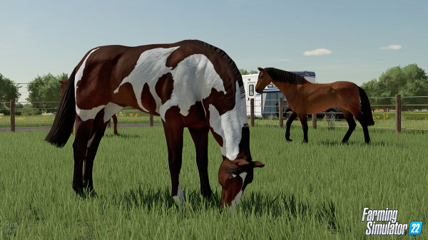 Гайд по животным в Farming Simulator 22 — как разводить пчел, кур, овец, лошадей, свиней и коров
Гайд по животным в Farming Simulator 22 — как разводить пчел, кур, овец, лошадей, свиней и коров