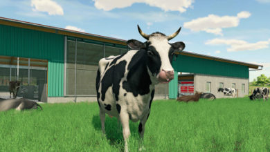 Photo of Гайд по животным в Farming Simulator 22 — как разводить пчел, кур, овец, лошадей, свиней и коров