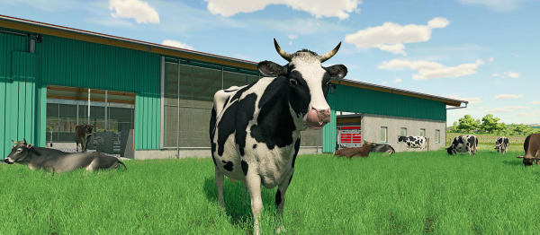 Гайд по животным в Farming Simulator 22 — как разводить пчел, кур, овец, лошадей, свиней и коров
Гайд по животным в Farming Simulator 22 — как разводить пчел, кур, овец, лошадей, свиней и коров