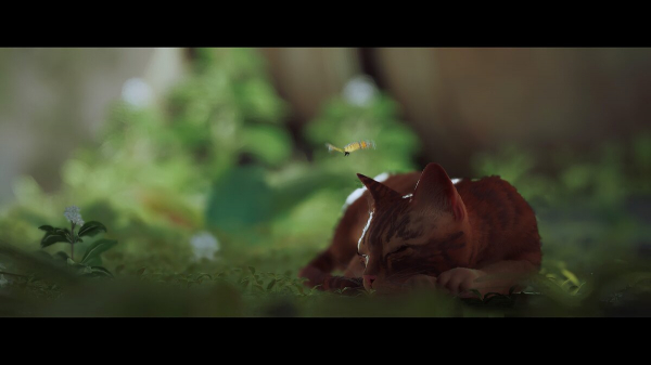 Коллекционные предметы в Stray — как собрать все значки, воспоминания и открыть редкие достижения
Коллекционные предметы в Stray — как собрать все значки, воспоминания и открыть редкие достижения