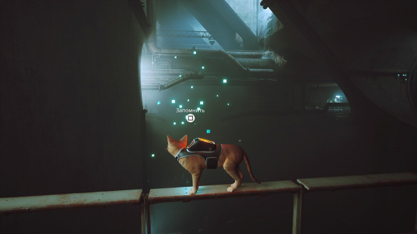 Коллекционные предметы в Stray — как собрать все значки, воспоминания и открыть редкие достижения
Коллекционные предметы в Stray — как собрать все значки, воспоминания и открыть редкие достижения