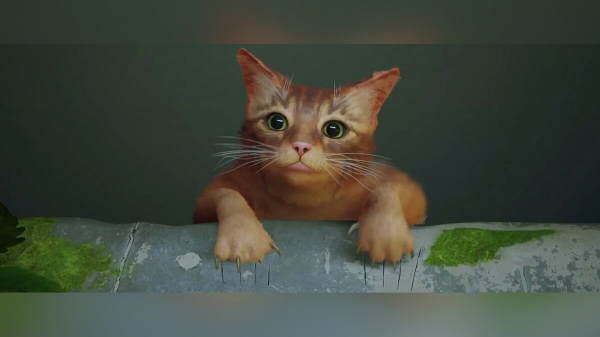 
        Все коды от сейфов и дверей в Stray: где найти и как применить пароли
      
