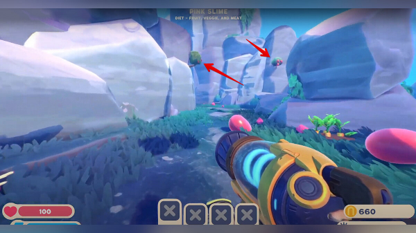 
        Где найти и как получить кубнику (Cuberry) для фосфорных слаймов в Slime Rancher 2
      