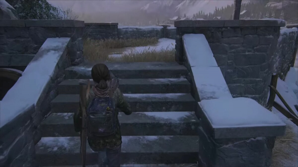 
        Где найти все комиксы в The Last of Us Part 1
      