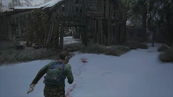 
        Где найти все комиксы в The Last of Us Part 1
      