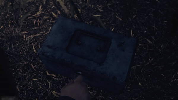 
        Все коды и пароли от дверей в The Dark Pictures: The Devil In Me
      