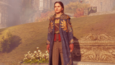 Photo of Как собрать все жетоны факультета в Hogwarts Legacy и получить уникальную мантию