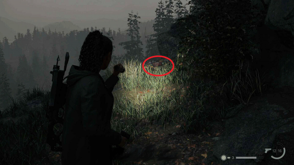 Где найти все ланч-боксы в Alan Wake 2
Где найти все ланч-боксы в Alan Wake 2