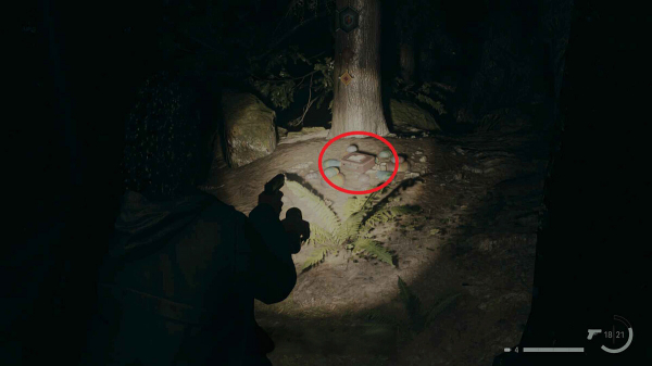Где найти все ланч-боксы в Alan Wake 2
Где найти все ланч-боксы в Alan Wake 2