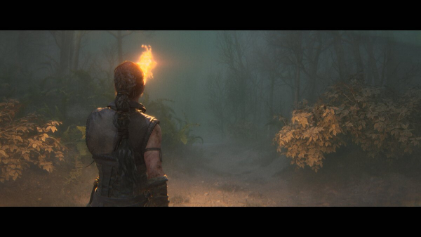 Прохождение Senua's Saga: Hellblade 2 — все головоломки
Прохождение Senua's Saga: Hellblade 2 — все головоломки