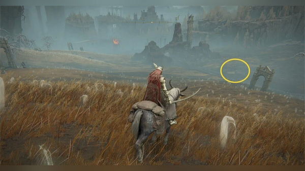 
          Как открыть всю карту в Elden Ring Shadow of the Erdtree
        