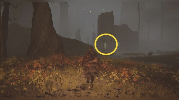 
          Как открыть всю карту в Elden Ring Shadow of the Erdtree
        