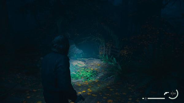 
          Прохождение дополнения Night Springs для Alan Wake 2
        