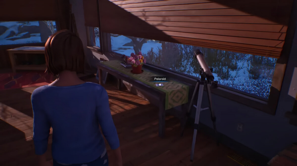 
          Как найти все полароидные фото в Life is Strange: Double Exposure
        