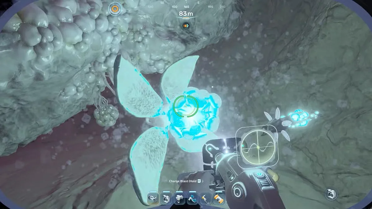 Гребневик-ангел в Subnautica 2 — как найти и очистить
Гребневик-ангел в Subnautica 2 — как найти и очистить