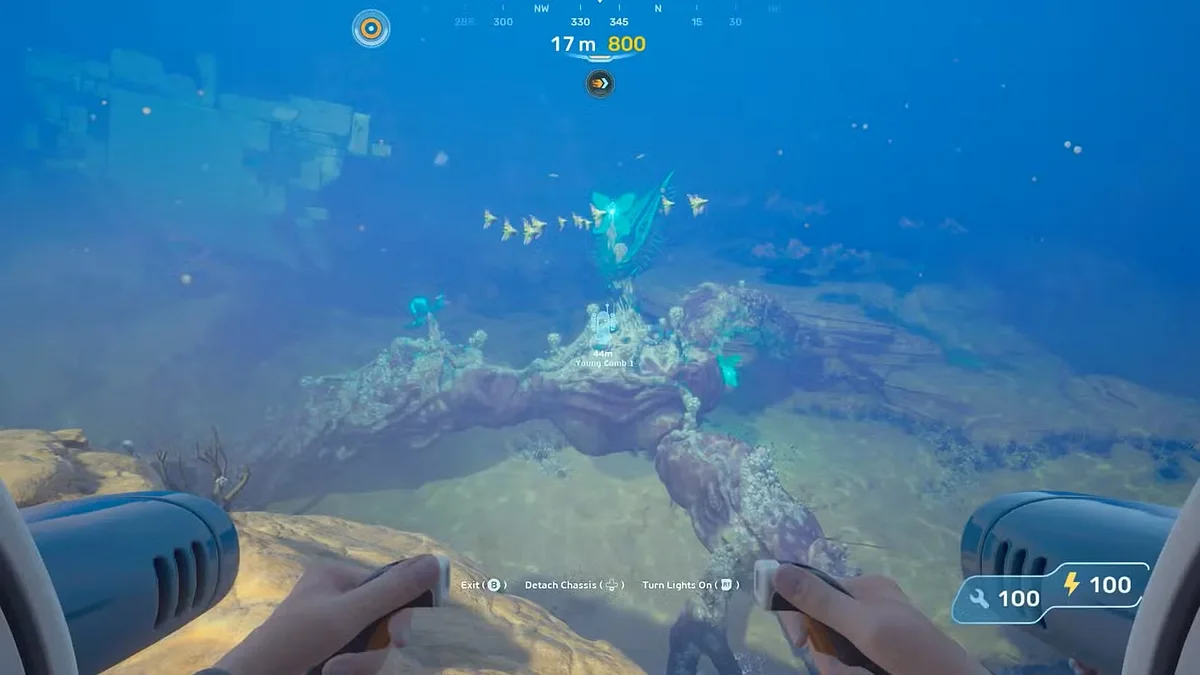 Гребневик-ангел в Subnautica 2 — как найти и очистить
Гребневик-ангел в Subnautica 2 — как найти и очистить