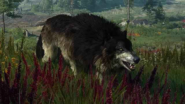 Руководство по оптимальной настройке графических параметров Witcher 3: Wild Hunt
Руководство по оптимальной настройке графических параметров Witcher 3: Wild Hunt