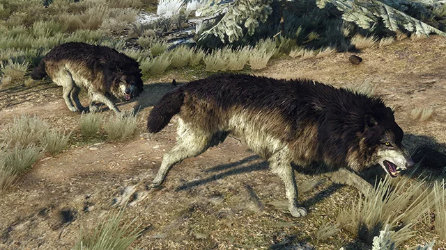 Руководство по оптимальной настройке графических параметров Witcher 3: Wild Hunt
Руководство по оптимальной настройке графических параметров Witcher 3: Wild Hunt