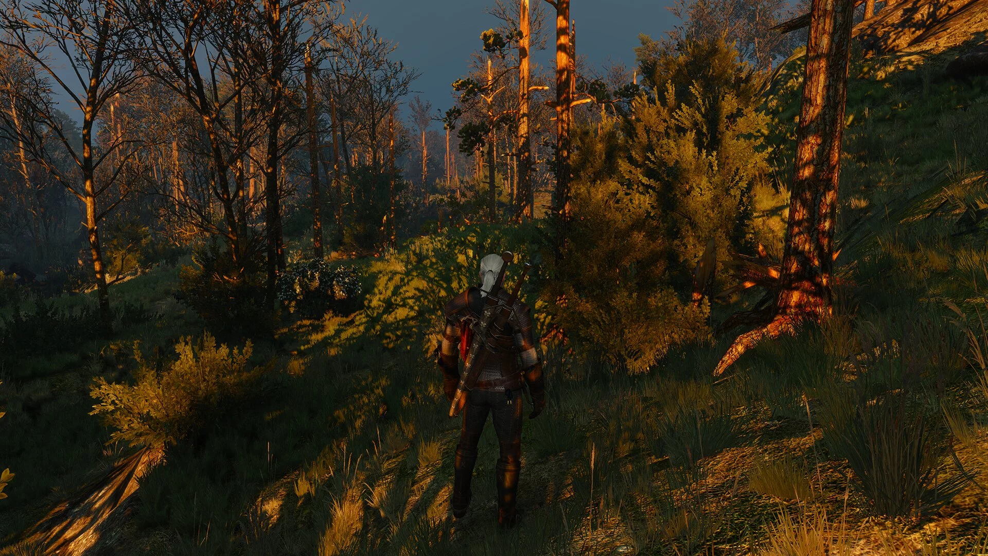
          Тонкая настройка графики The Witcher 3: Wild Hunt &mdash; какие параметры менять для FPS и качества
        