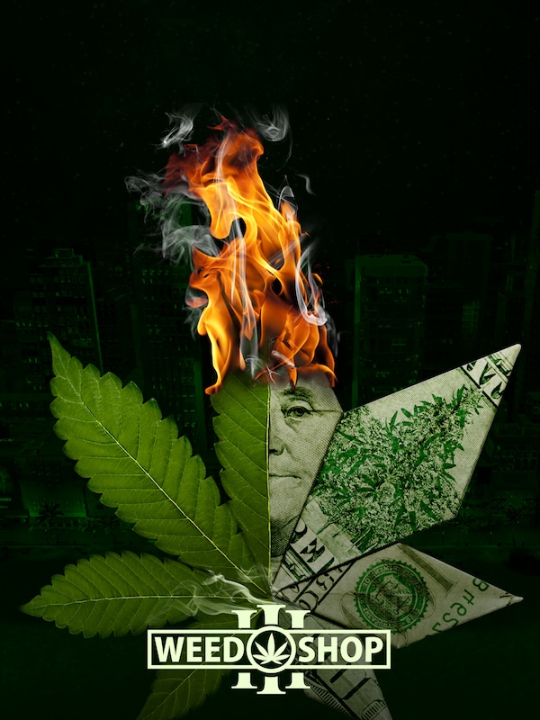 Купить Weed Shop 3