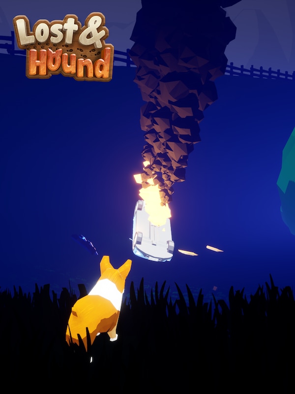 Купить Lost and Hound